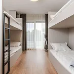 فيلة Luxury Metramaris1